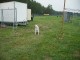 Thumbs/tn_Tohrn western event 067.jpg